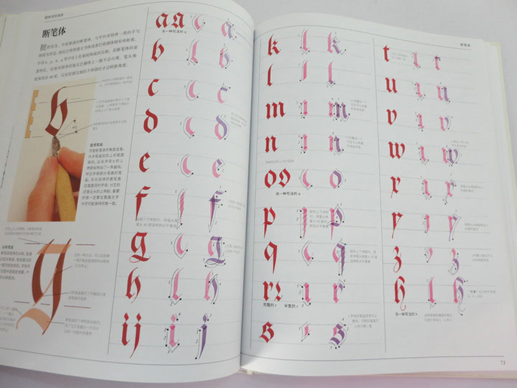 The Art Of Calligraphy David H - Chinese Calligraphy Practice Book review and price