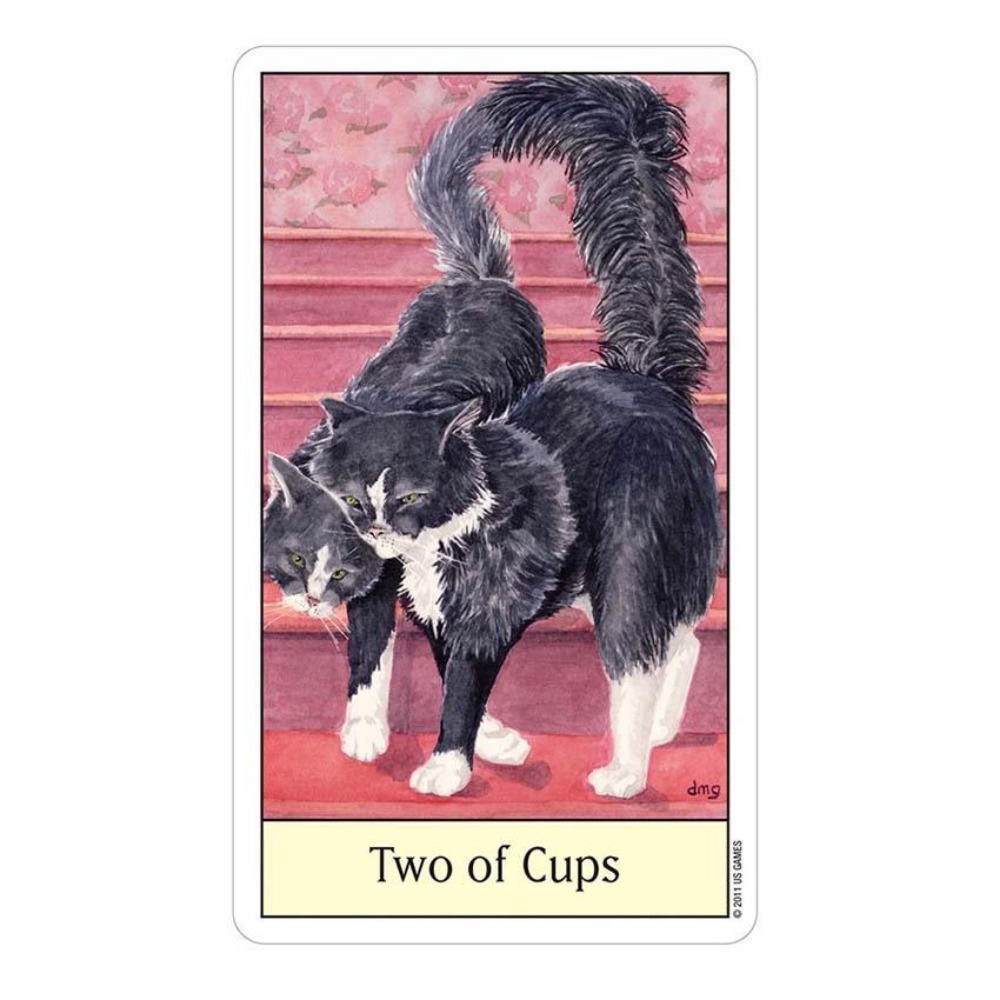 Cats Eye Tarot 12x7 cm Card Ga - Tarot Deck With Guidebook review and price