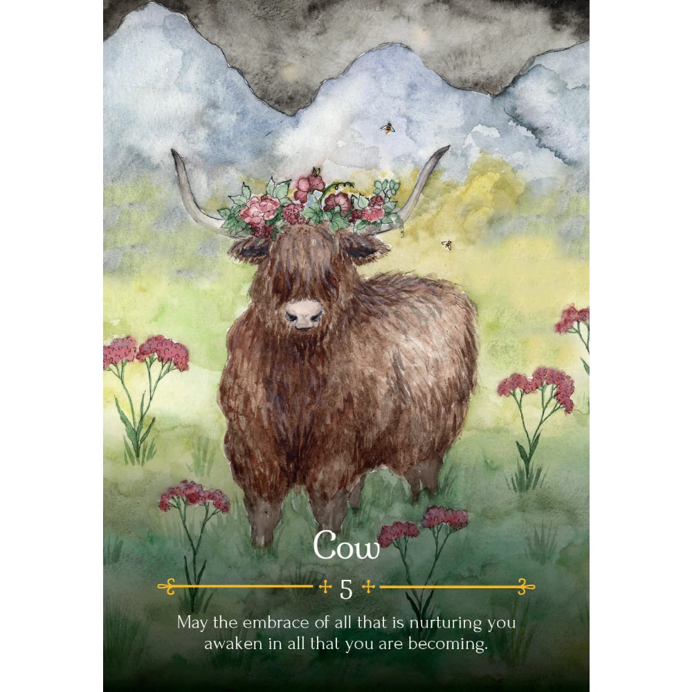 11*6.5cm Season of Witch Oracl - Tarot Deck With Guidebook review and price